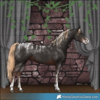 Horse Color:Powder White Liver Chestnut 