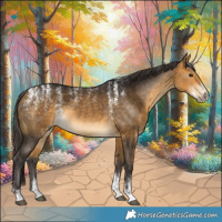 Horse Color:Powder White Buckskin 