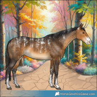 Horse Color:Powder White Buckskin 