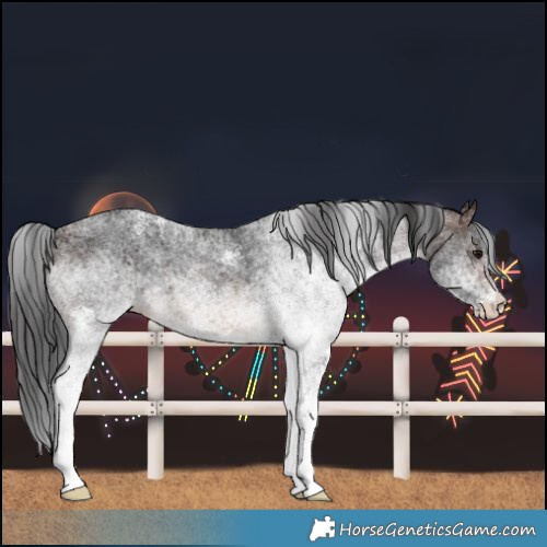 Horse Color:White Spotted Brown Rabicano 