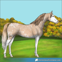 Horse Color:Red Dun Ice Splash