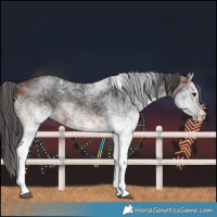 Horse Color:White Spotted Bay 