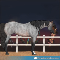 Horse Color:Brown Roan 