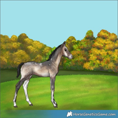 Horse Color:Brown Ice Onyx Rabicano 