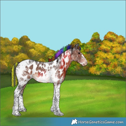 Horse Color:Painted Brown Tobiano Frame Appaloosa Rabicano 
