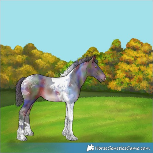 Horse Color:Nacre Bay Tobiano 