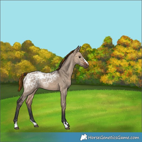 Horse Color:Painted Bay Ice Dun 