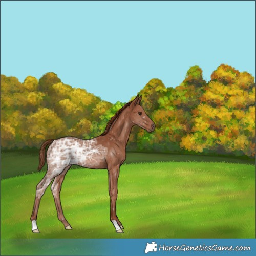 Horse Color:Chestnut Ice 