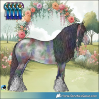 Horse Color:Nacre Brown Chinchilla Sabino Rabicano 
