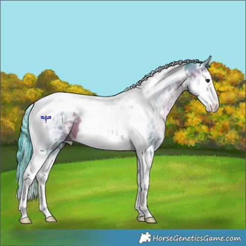 Horse Color:Watercolor Bay Ice Dun Splash Tobiano Brindle 