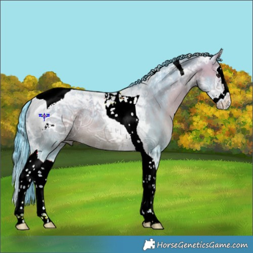 Horse Color:Watercolor Bay Ice Dun Splash Tobiano 
