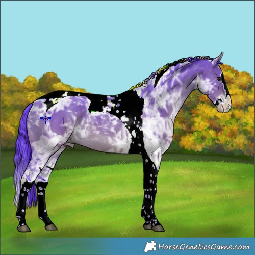 Horse Color:Watercolor Brown Ice Dun Splash Tobiano Appaloosa 