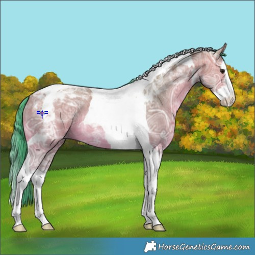 Horse Color:Watercolor Bay Ice Dun Splash Tobiano 