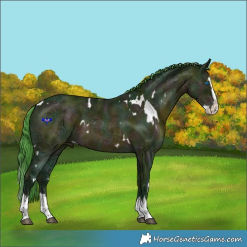 Horse Color:Watercolor White Spotted Midnight Bay Ice Splash 