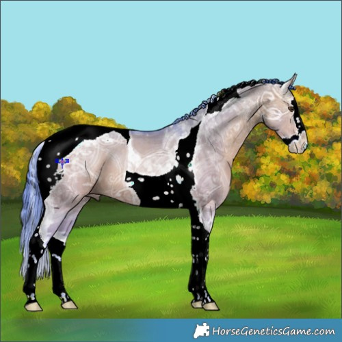 Horse Color:Watercolor Bay Ice Dun Splash Tobiano 