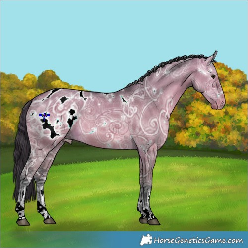 Horse Color:White Spotted Bay Ice Dun Tobiano Appaloosa 