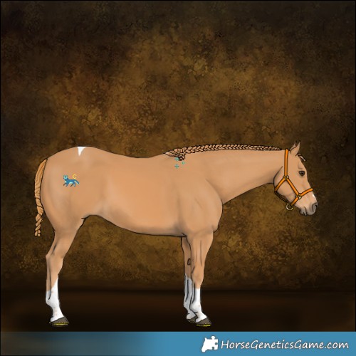 Horse Color:Chestnut Tobiano 