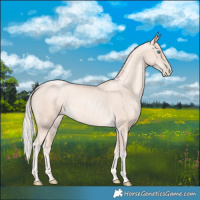 Horse Color:Gold Cream Champagne Pearl 