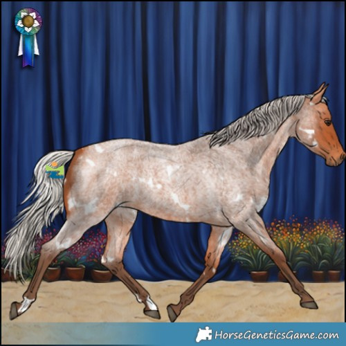 Horse Color:White Spotted Silver Bay Roan Rabicano 