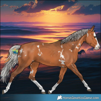 Horse Color:White Spotted Silver Bay Splash 
