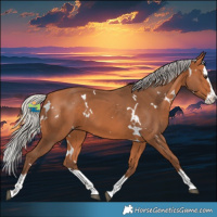 Horse Color:White Spotted Silver Bay Splash 