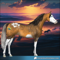 Horse Color:Buckskin Splash Varnish 