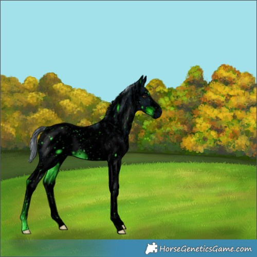 Horse Color:ERROR: UNKNOWN ANOMALY