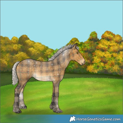 Horse Color:Plaid  Silver Buckskin 