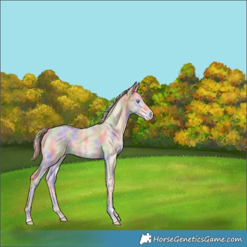 Horse Color:Nacre Perlino 