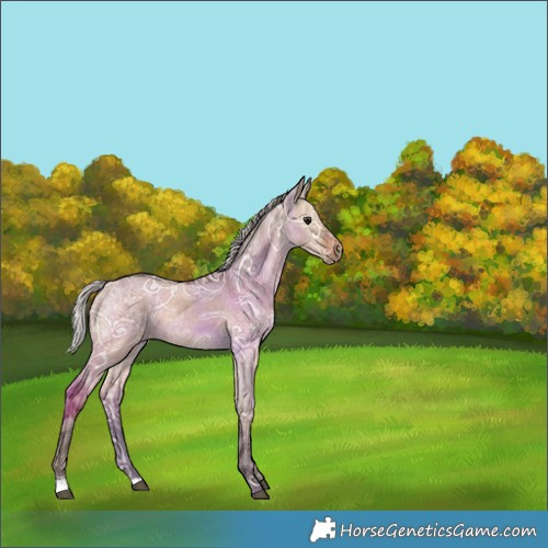 Horse Color:Silver Brown Ice Dun 