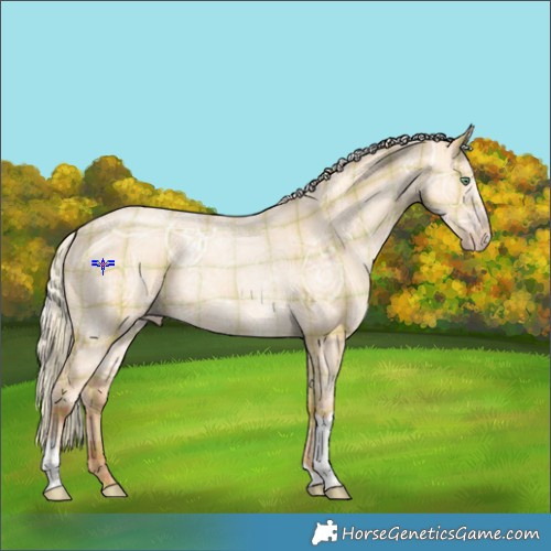 Horse Color:Plaid  White Spotted Silver Amber Champagne Ice Dun Tobiano 