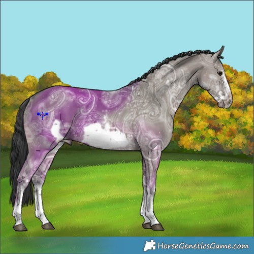 Horse Color:Grullo Ice Sabino Frame 