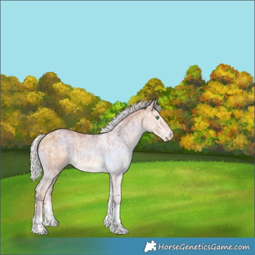Horse Color:Silver Classic Champagne Ice Dun Tobiano Brindle 