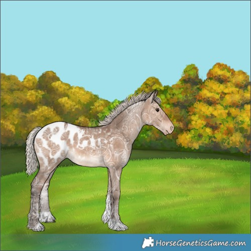 Horse Color:Silver Brown Ice Dun Tobiano Blanket 
