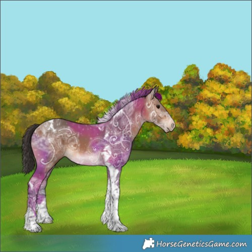 Horse Color:Bay Ice Tobiano 