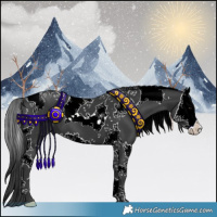 Horse Color:Black Splash Tobiano 