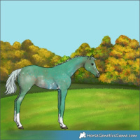 Horse Color:Watercolor Silver Brown Sabino Tobiano 