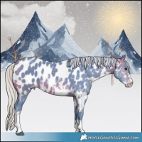 Horse Color:Watercolor Silver Brown Sabino Appaloosa 