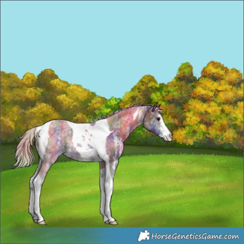 Horse Color:Nacre Silver Brown Ice Sabino Tobiano 