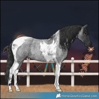 Horse Color:Blue Roan Tobiano 
