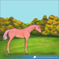 Horse Color:Watercolor Palomino 