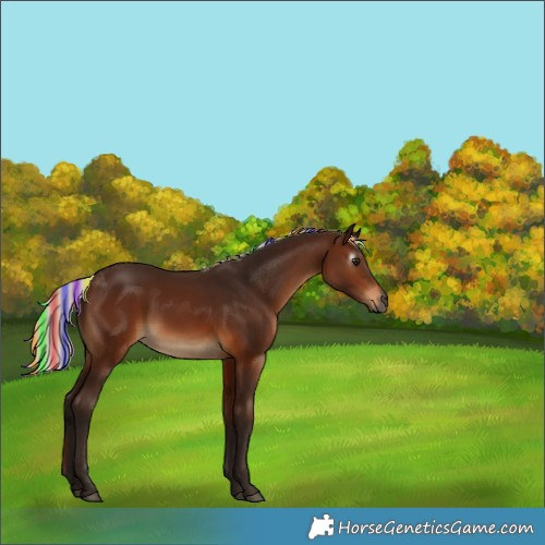 Horse Color:Gray Painted Silver Bay 