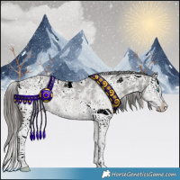Horse Color:Grullo Sabino Splash Appaloosa 
