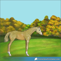 Horse Color:Watercolor Chestnut 
