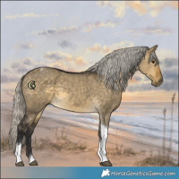 Horse Color:Silver Buckskin Dun Tobiano Rabicano 