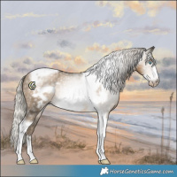 Horse Color:Gray Silver Smoky Black Pearl Tobiano Frame Varnish Rabicano