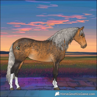 Horse Color:Silver Buckskin Tobiano 