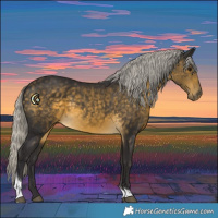 Horse Color:White Spotted Silver Buckskin Tobiano 