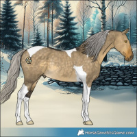 Horse Color:Silver Buckskin Dun Tobiano Rabicano 