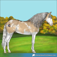 Horse Color:White Spotted Silver Buckskin Dun Splash